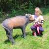 IMG-20220514-WA0022